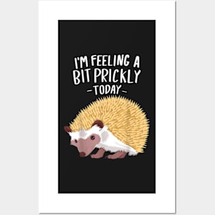 Prickly Today Hedgehogs Clothes Outfit Art Gift Hedgehog Posters and Art